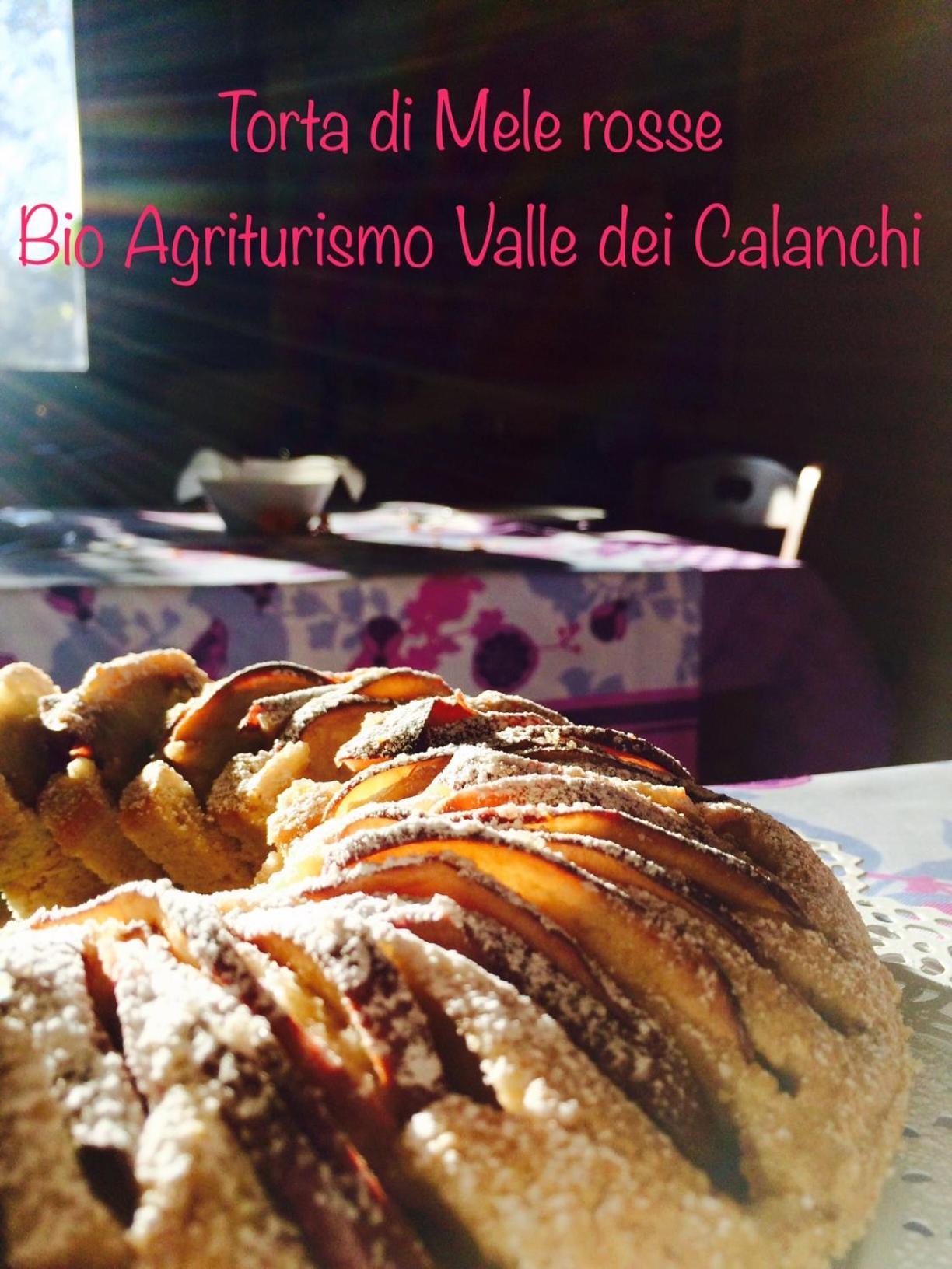 Bio Agriturismo Valle Dei Calanchi Castiglione In Teverina Extérieur photo