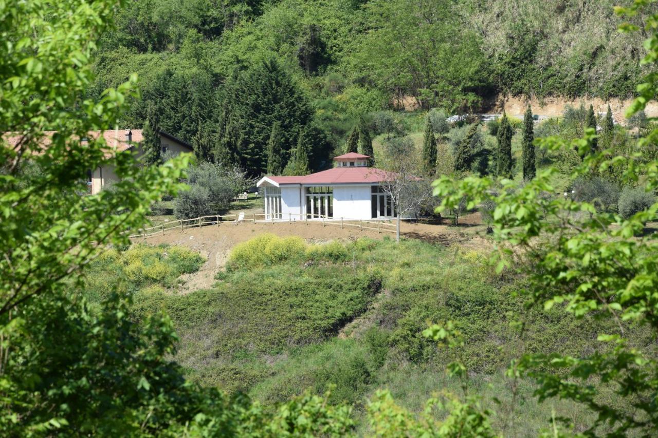 Bio Agriturismo Valle Dei Calanchi Castiglione In Teverina Extérieur photo